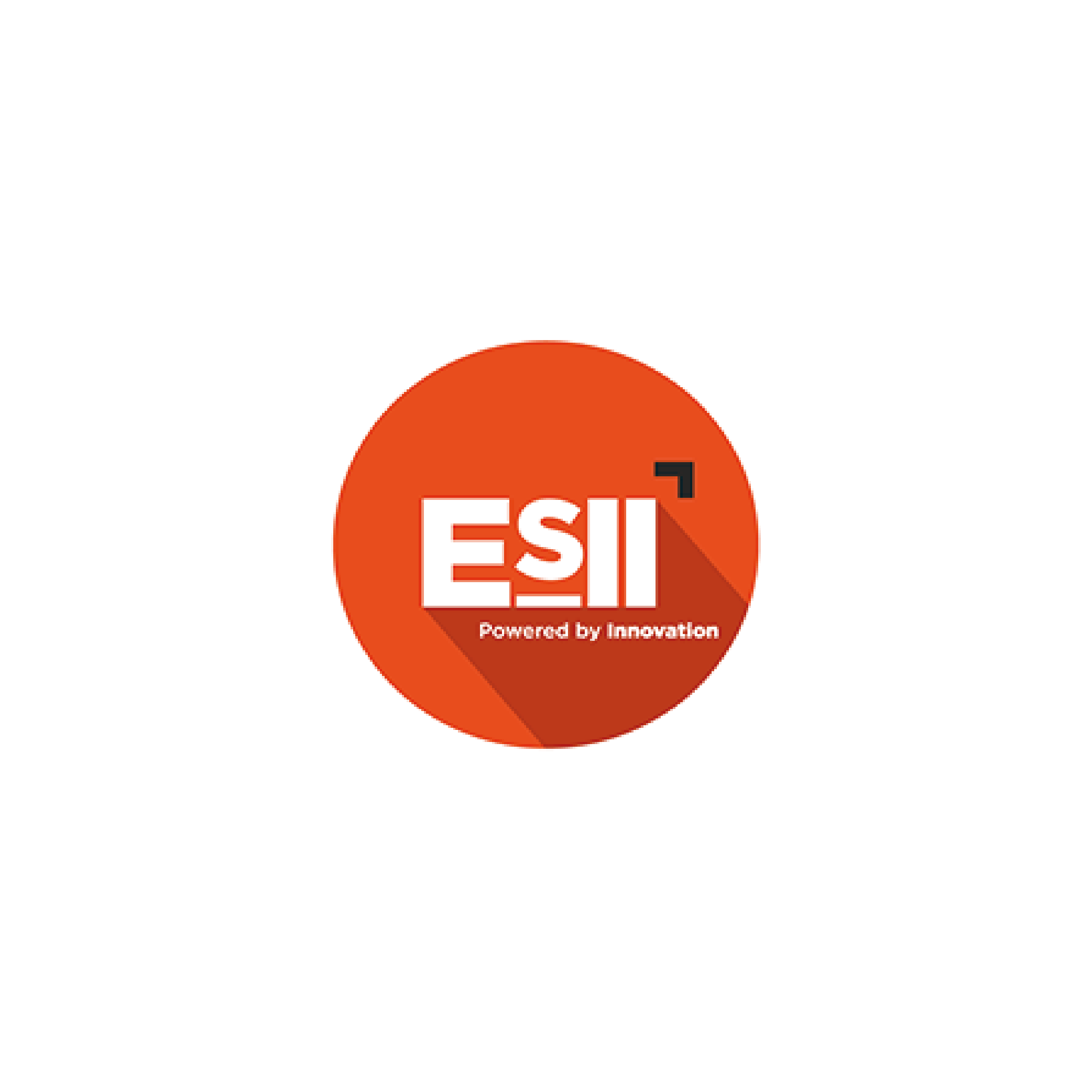 Logo esii Datasulting