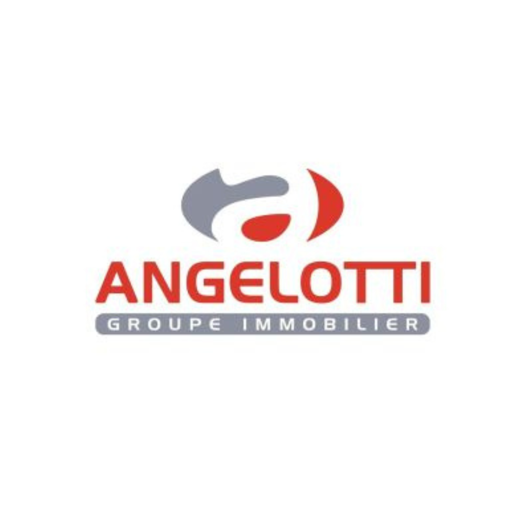Logo Angelotti Datasulting