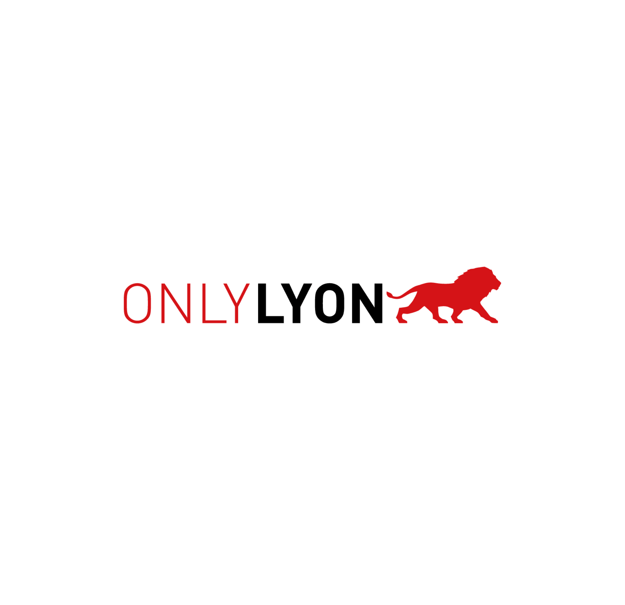 Logo Onlylyon Datasulting