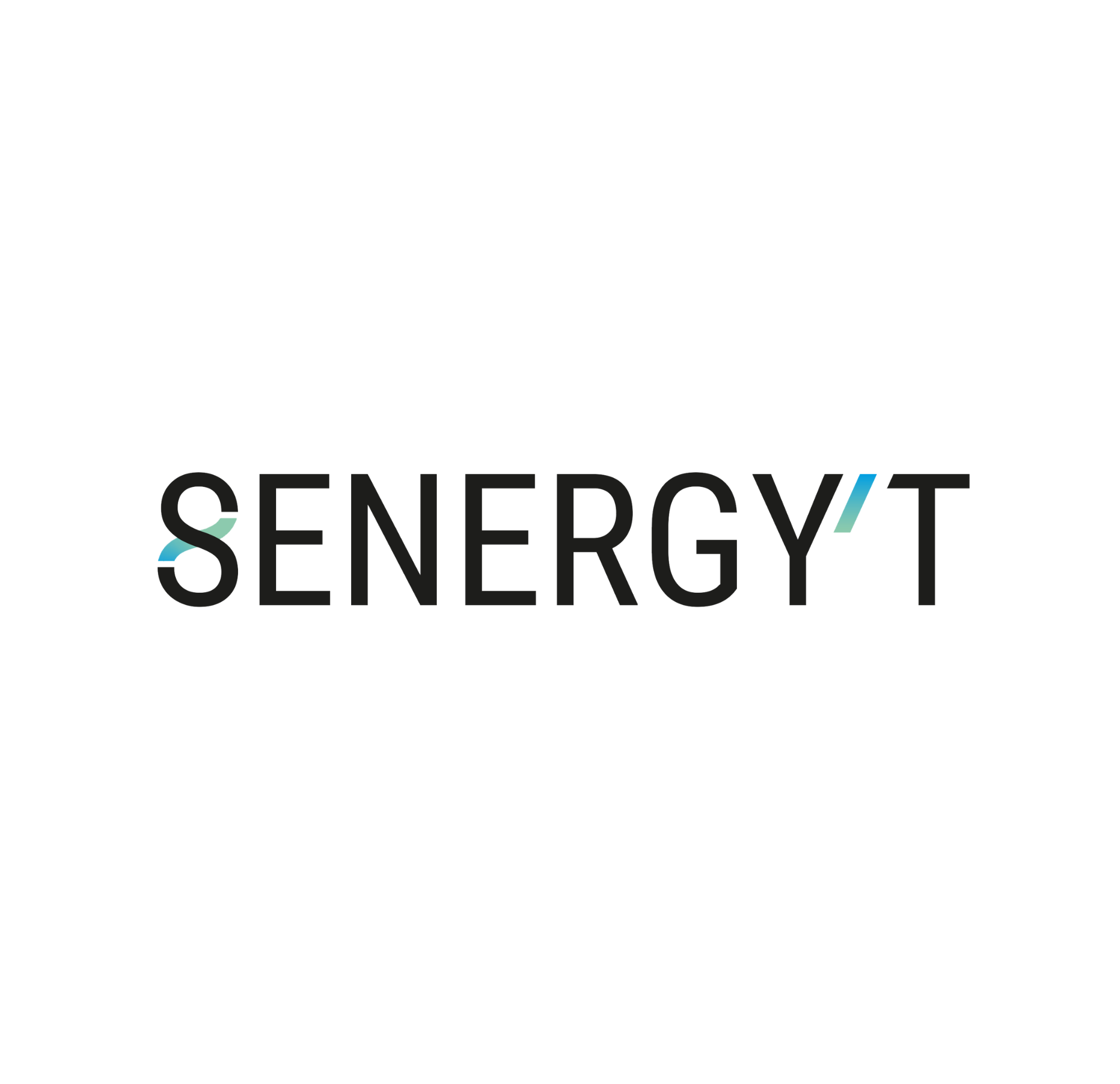 Logo Senergy'T Datasulting