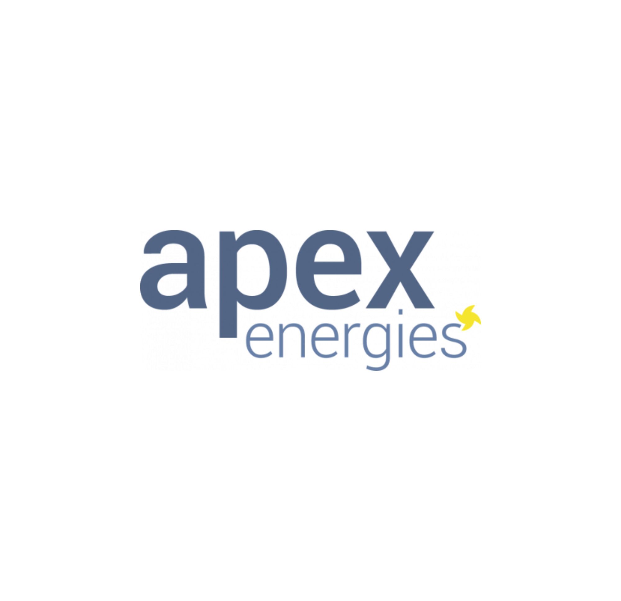 Logo Apex energies Datasulting