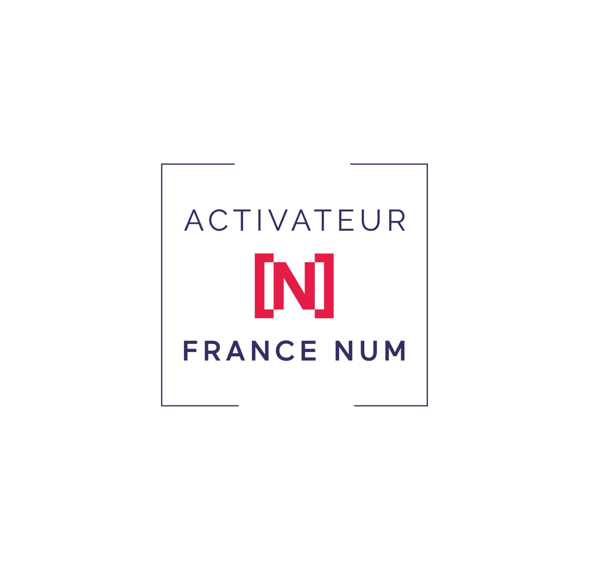 Datasulting Activateur France Num