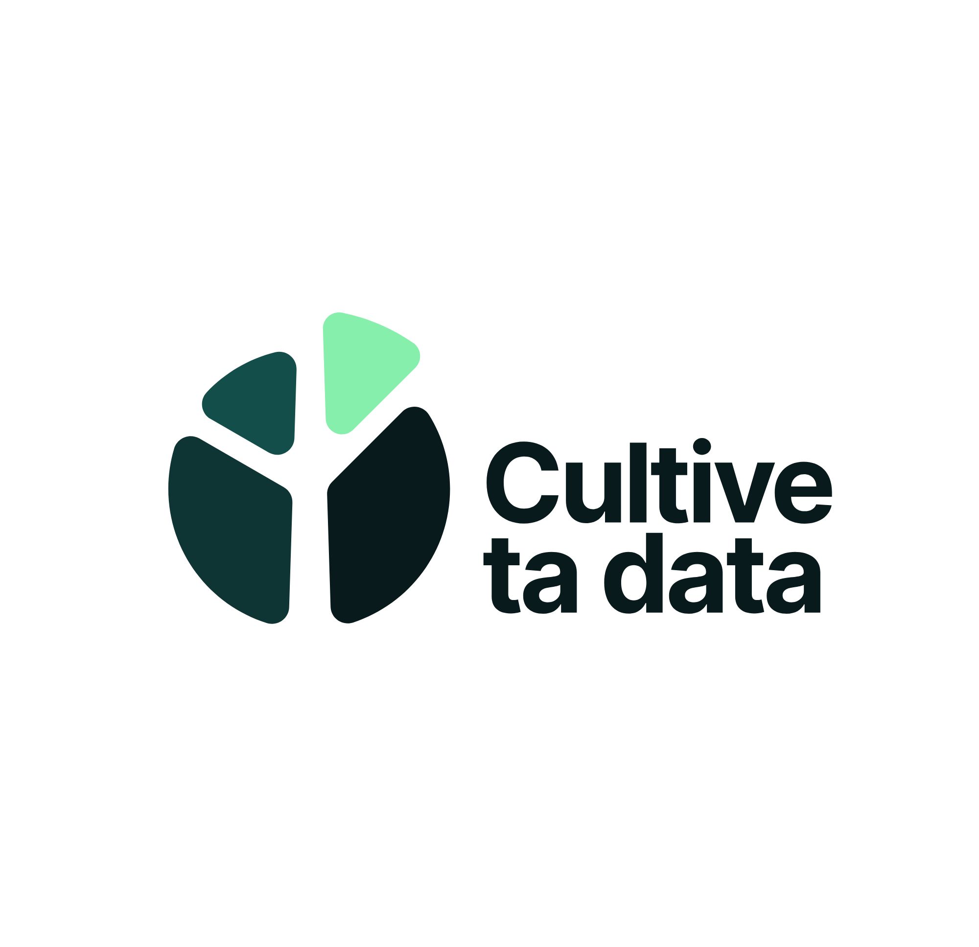 Logo Cultive ta data - Datasulting