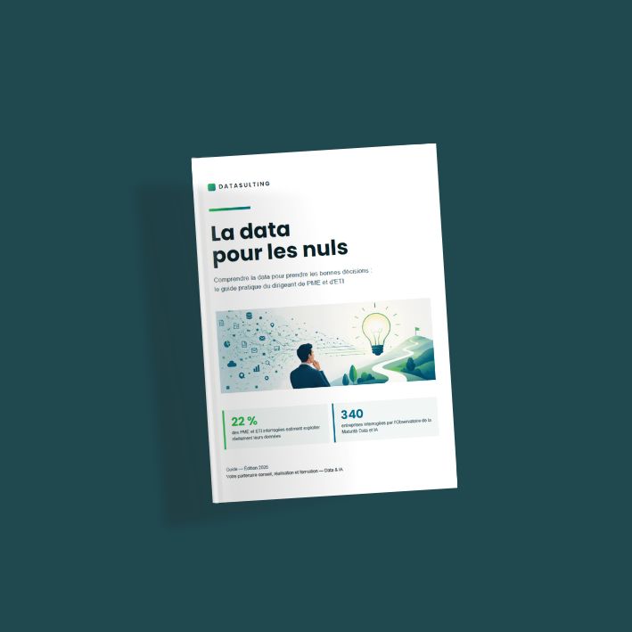 Guide Data pour les nuls - Datasulting